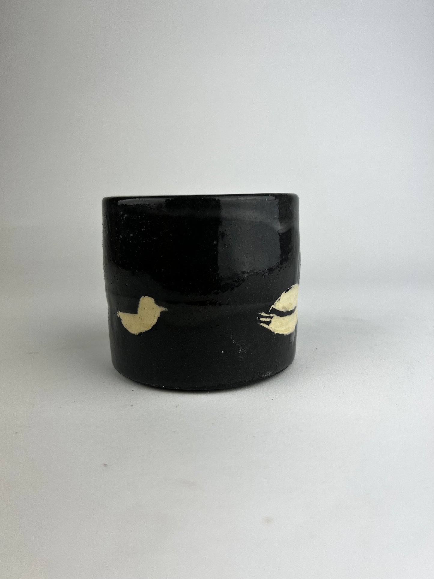 Bird cup