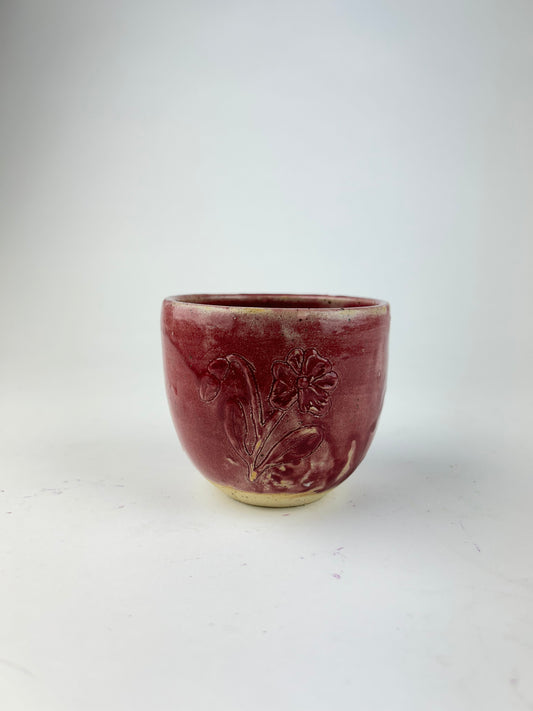 February cup 1